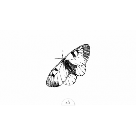 TATOUAGE EPHEMERE lovely siou papillon