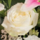 Pur délice - bouquet de lys et de roses